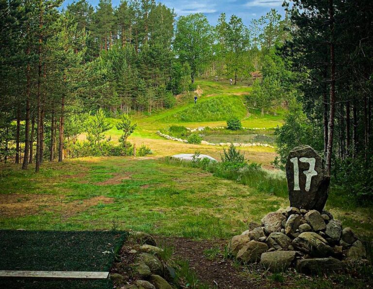 Världens sjunde bästa discgolfbana enligt Udisc 2019. Ale Vit