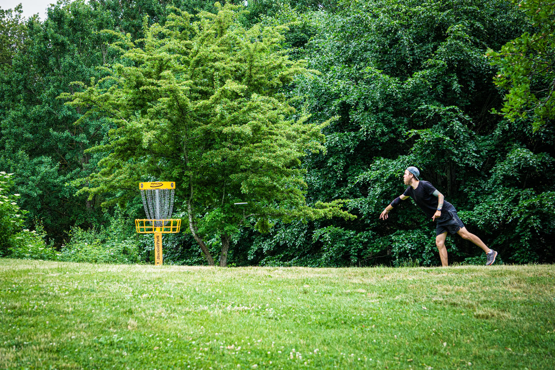 Rules in disc golf